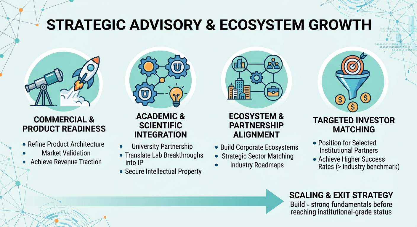 Strategic Advisory Beyond Traditional Venture Capital for Scale-Ups and Research Spin-Outs Spain